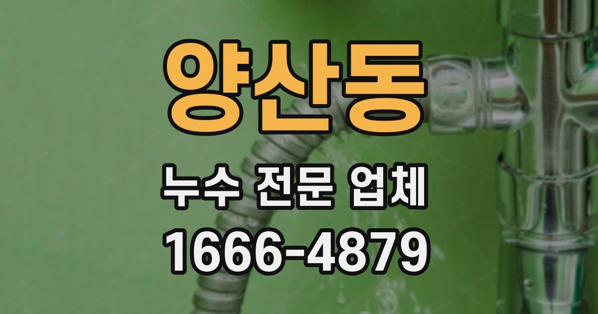 양산동 누수 전문 업체