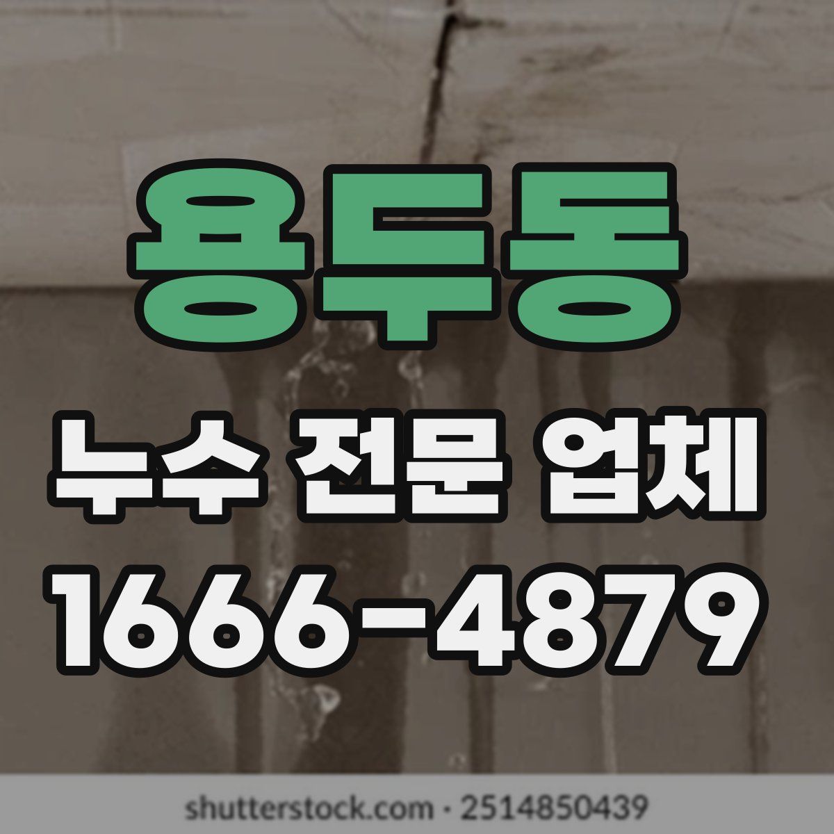 용두동 누수 전문 업체