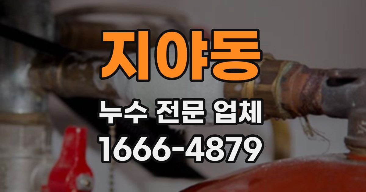 지야동 누수 전문 업체