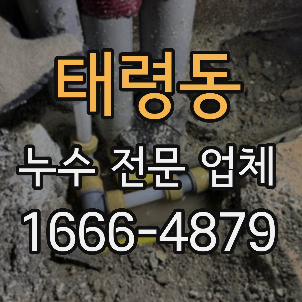 태령동 누수 전문 업체