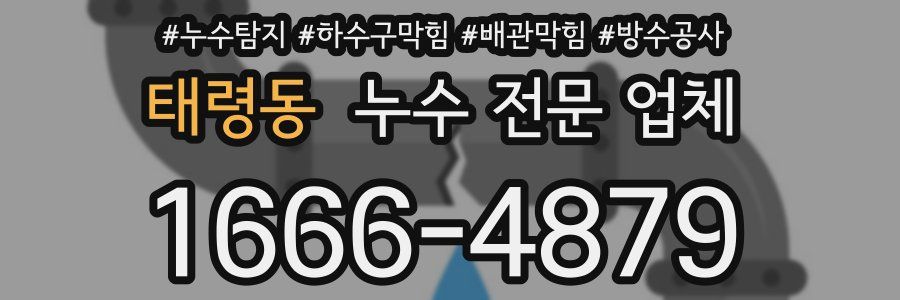 태령동 누수 전문 업체