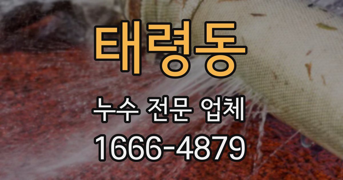 태령동 누수 전문 업체