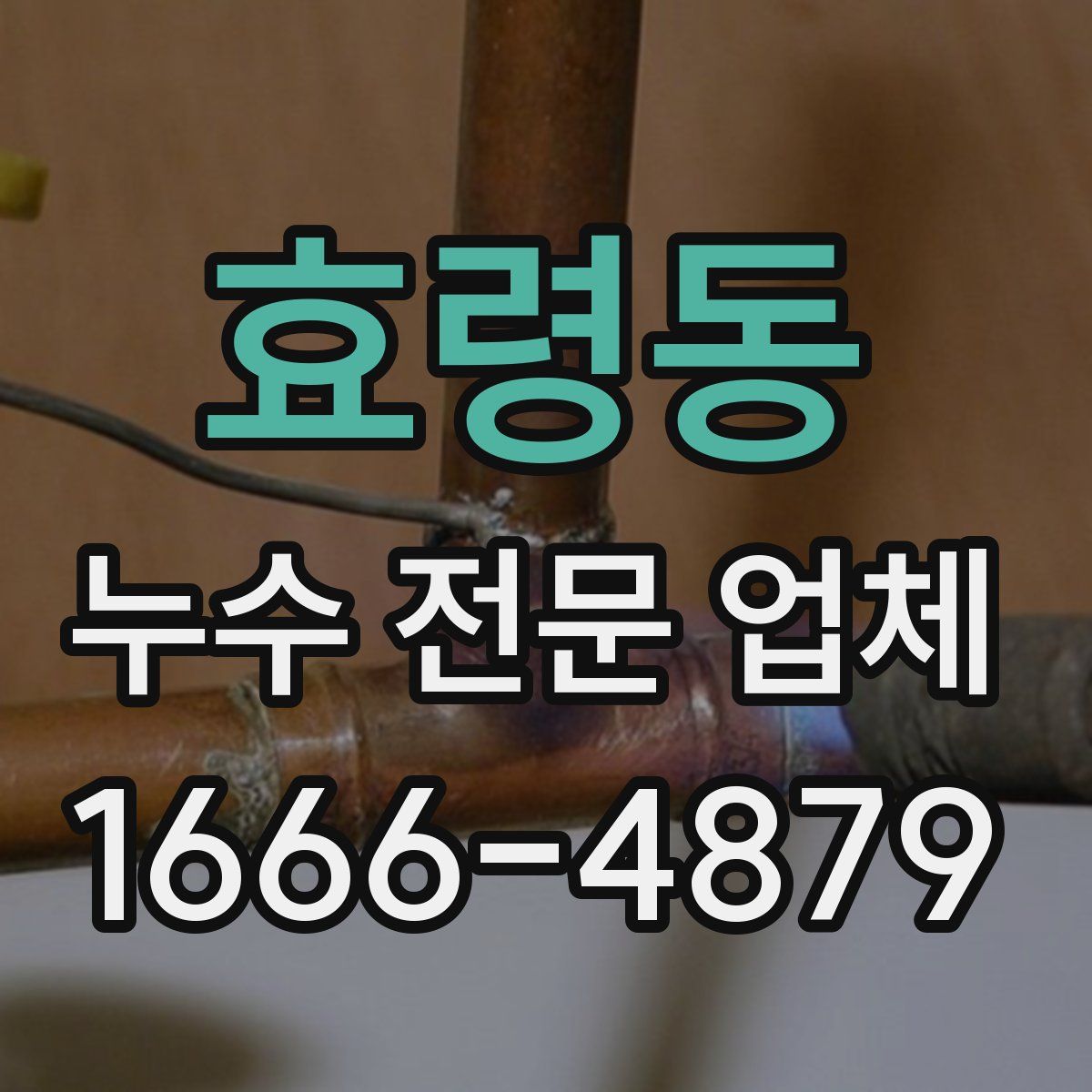 효령동 누수 전문 업체