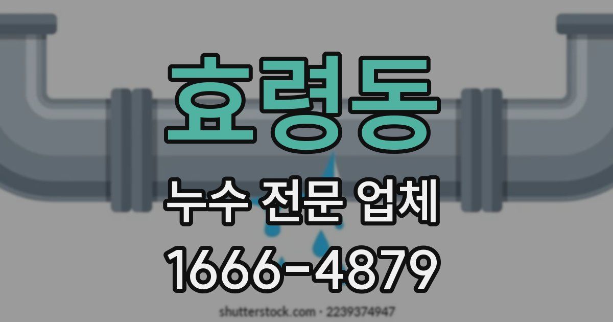 효령동 누수 전문 업체