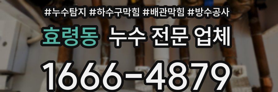 효령동 누수 전문 업체