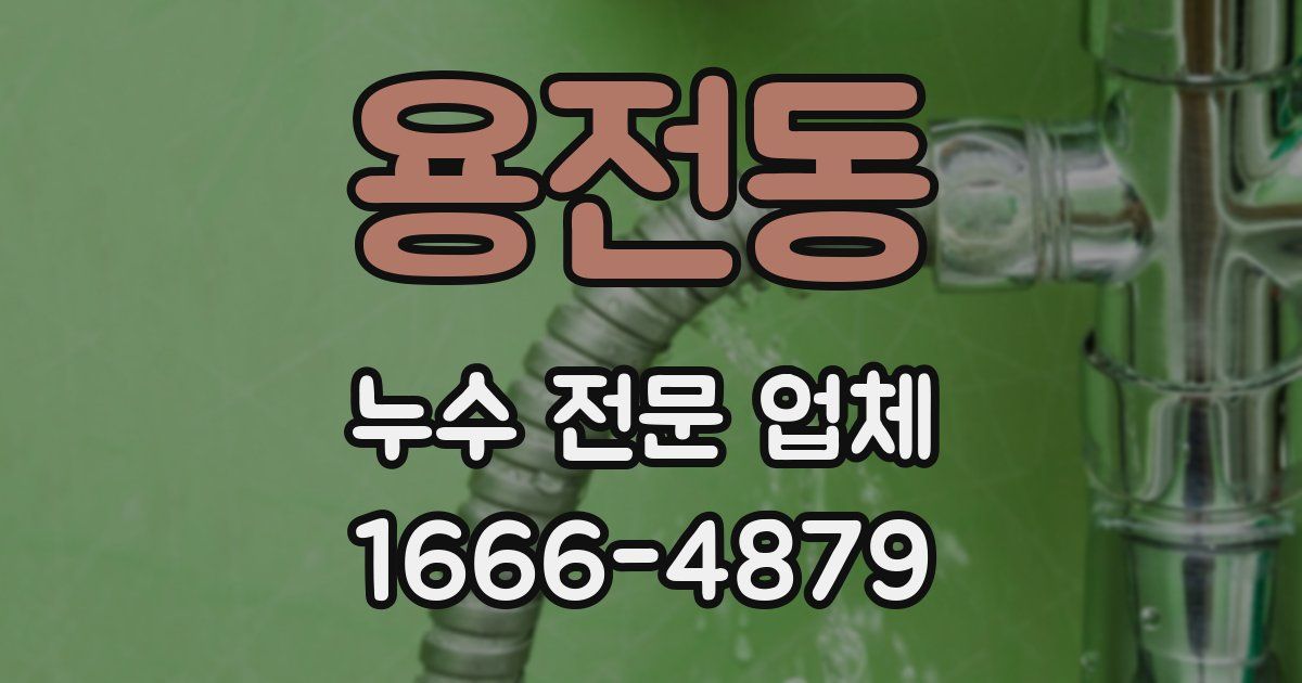 용전동 누수 전문 업체