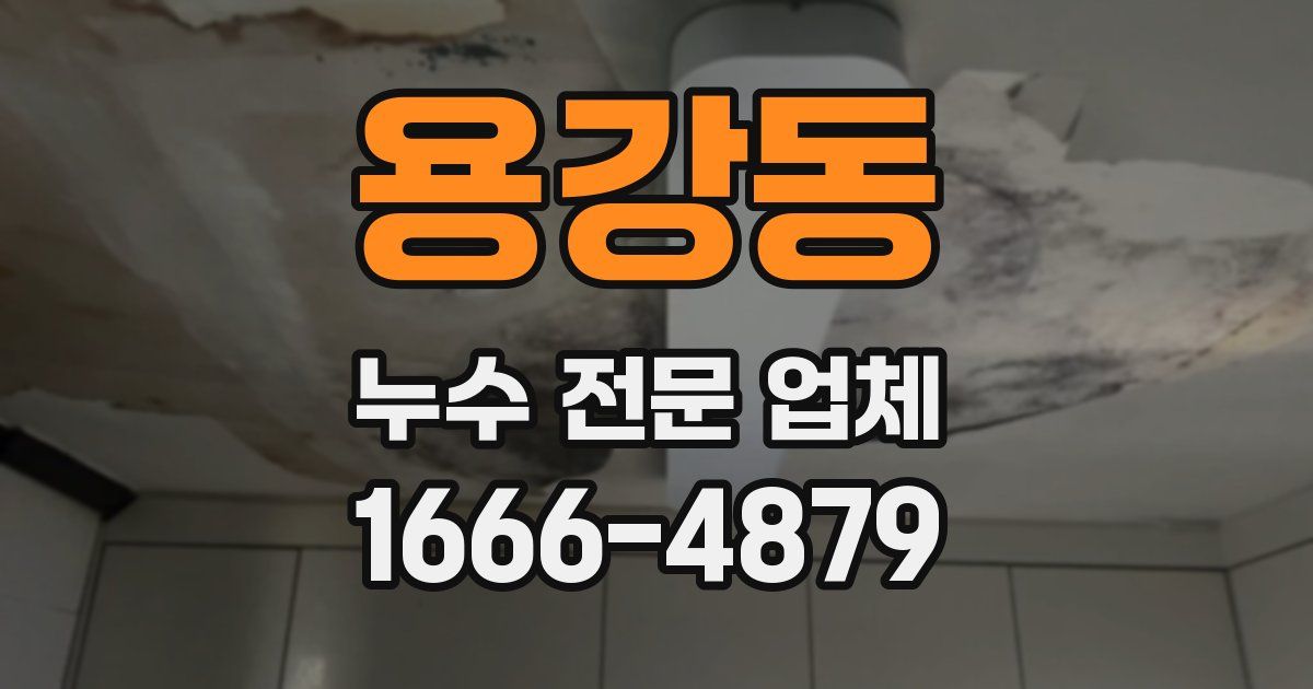 용강동 누수 전문 업체