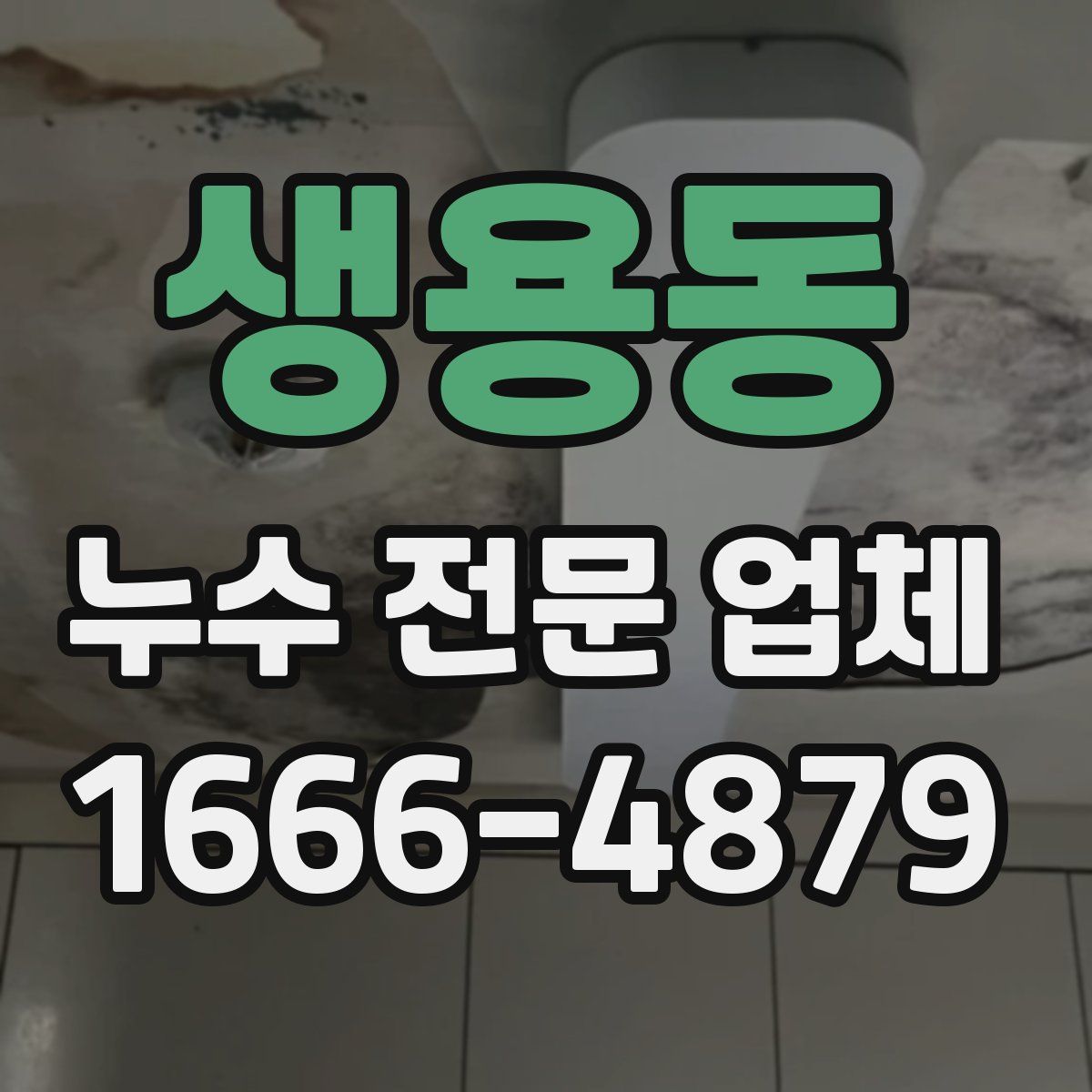 생용동 누수 전문 업체