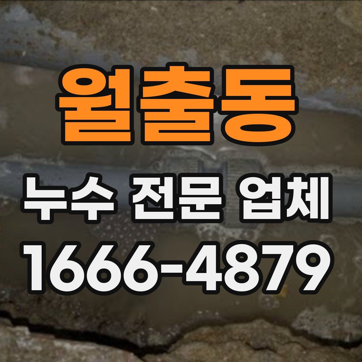 월출동 누수 전문 업체