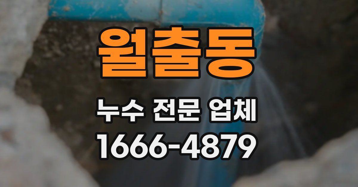 월출동 누수 전문 업체