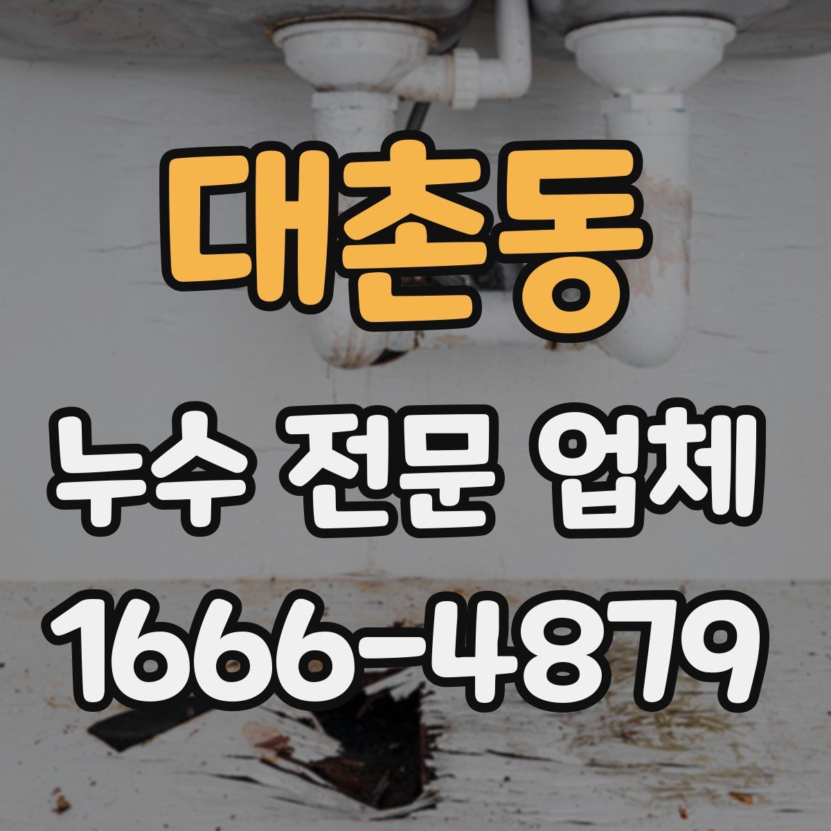 대촌동 누수 전문 업체