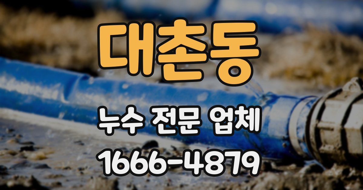 대촌동 누수 전문 업체