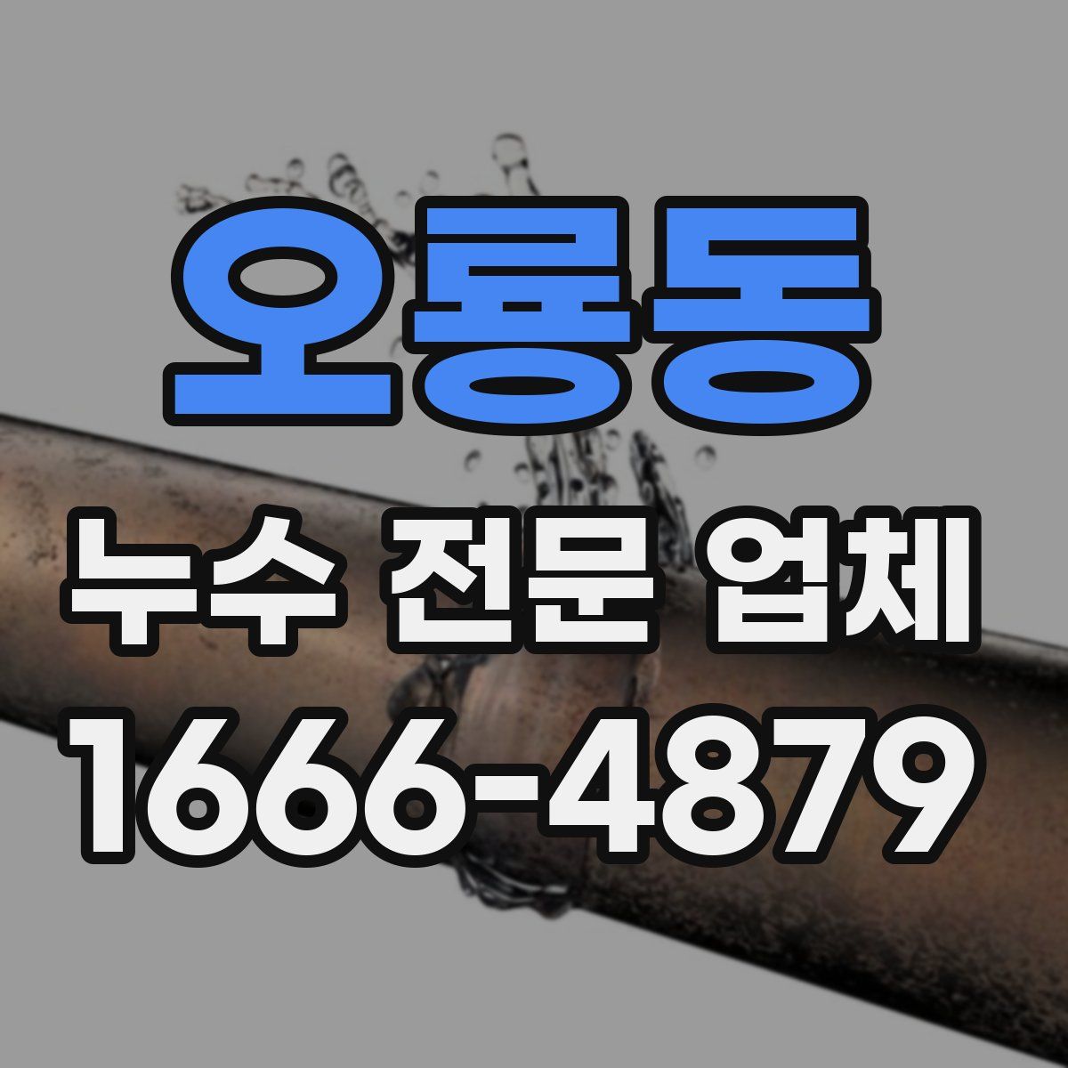 오룡동 누수 전문 업체