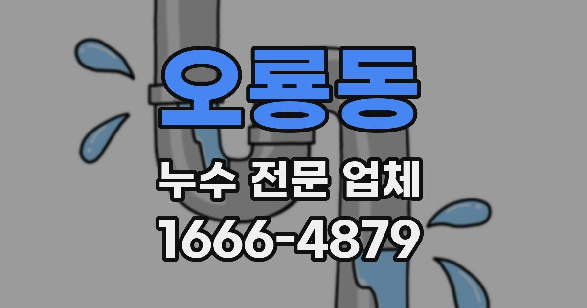 오룡동 누수 전문 업체