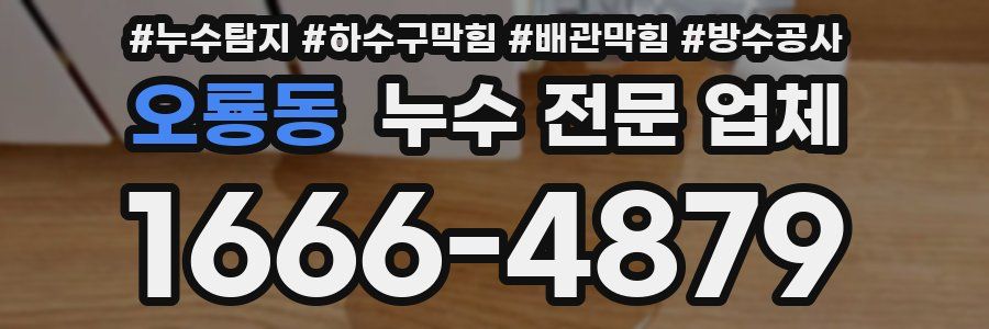 오룡동 누수 전문 업체