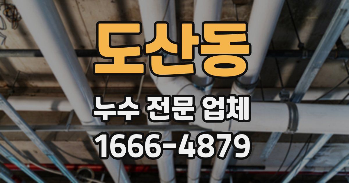 도산동 누수 전문 업체