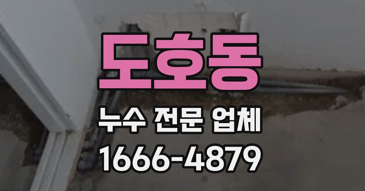 도호동 누수 전문 업체