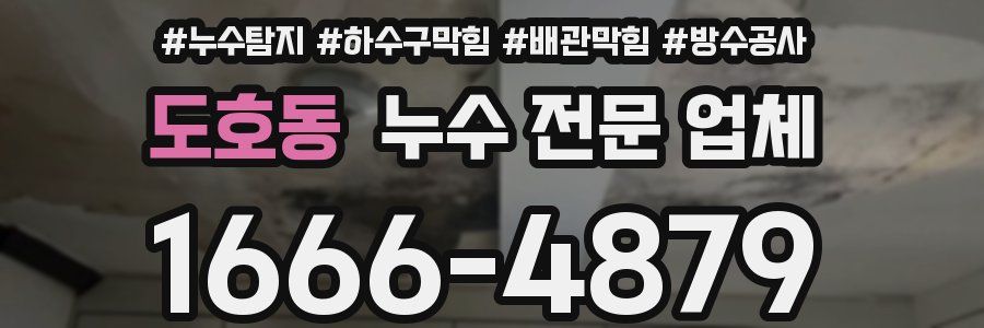 도호동 누수 전문 업체