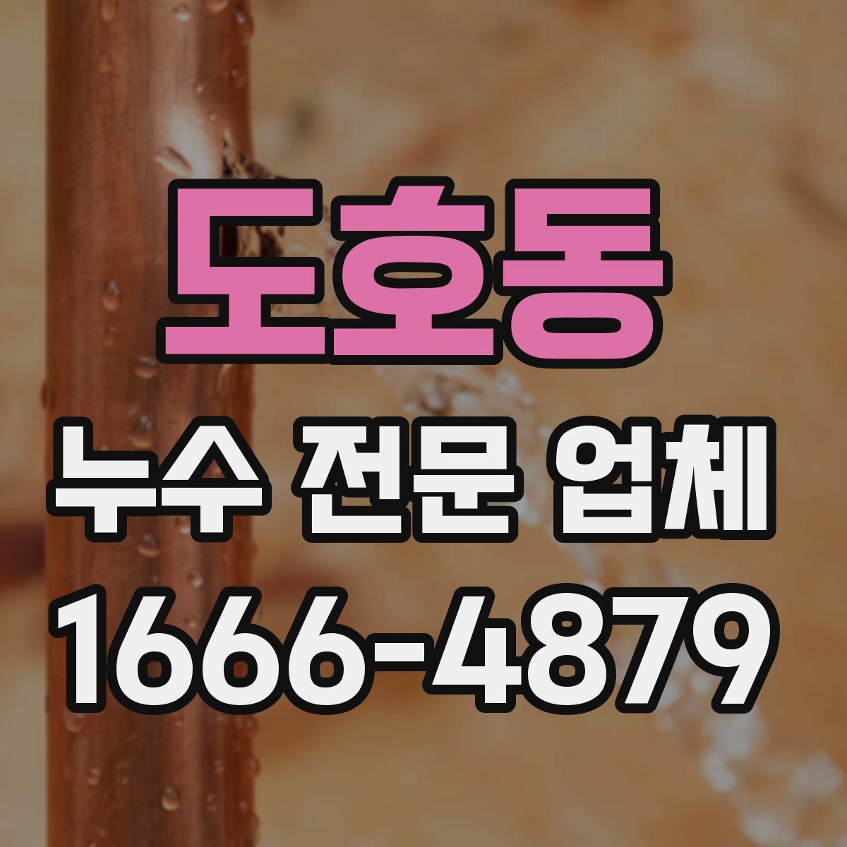 도호동 누수 전문 업체