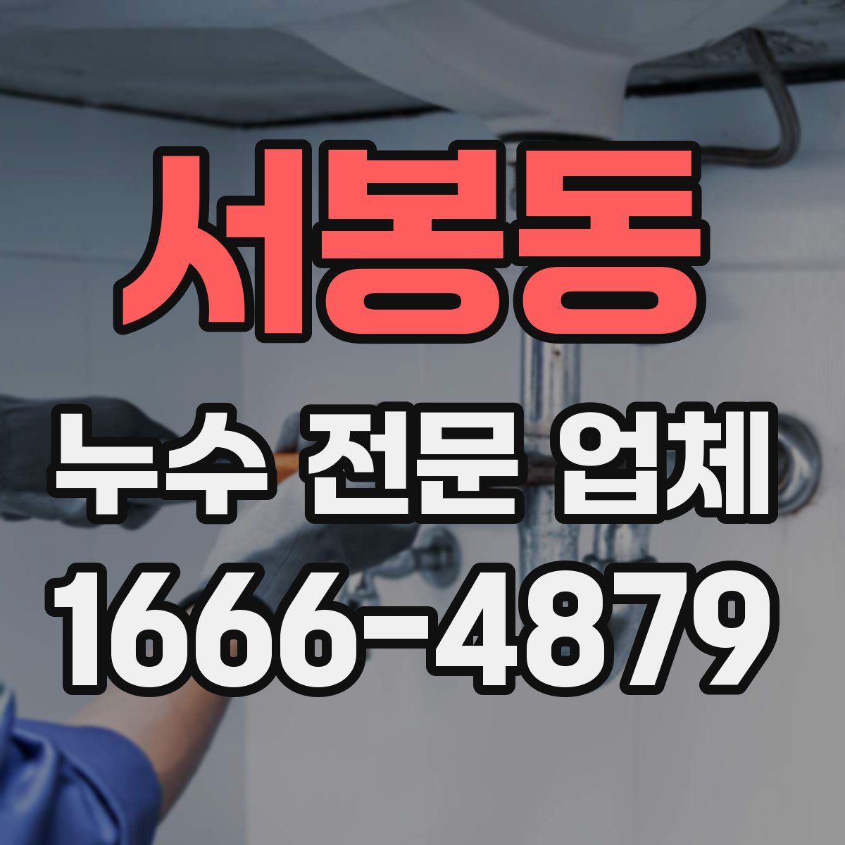 서봉동 누수 전문 업체