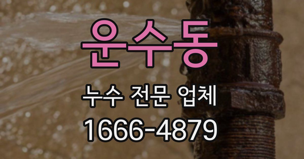 운수동 누수 전문 업체