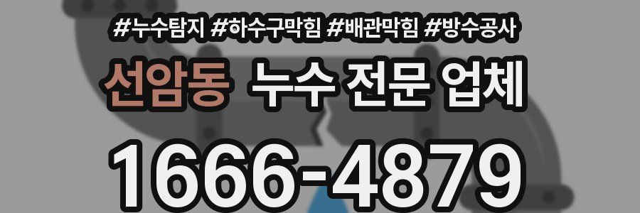 선암동 누수 전문 업체