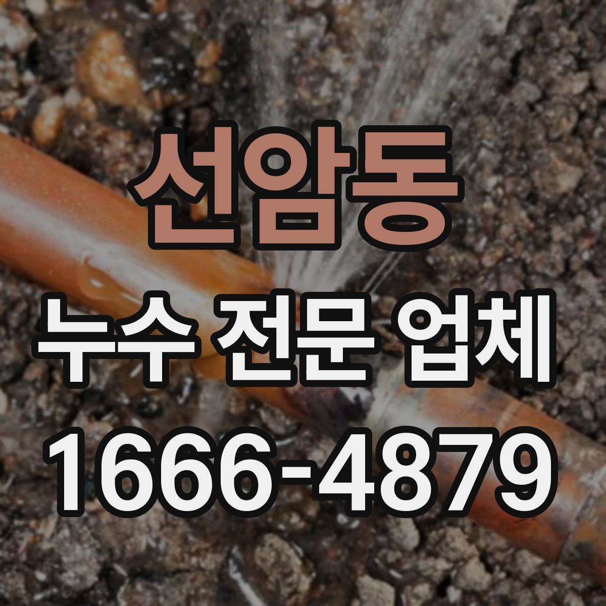 선암동 누수 전문 업체