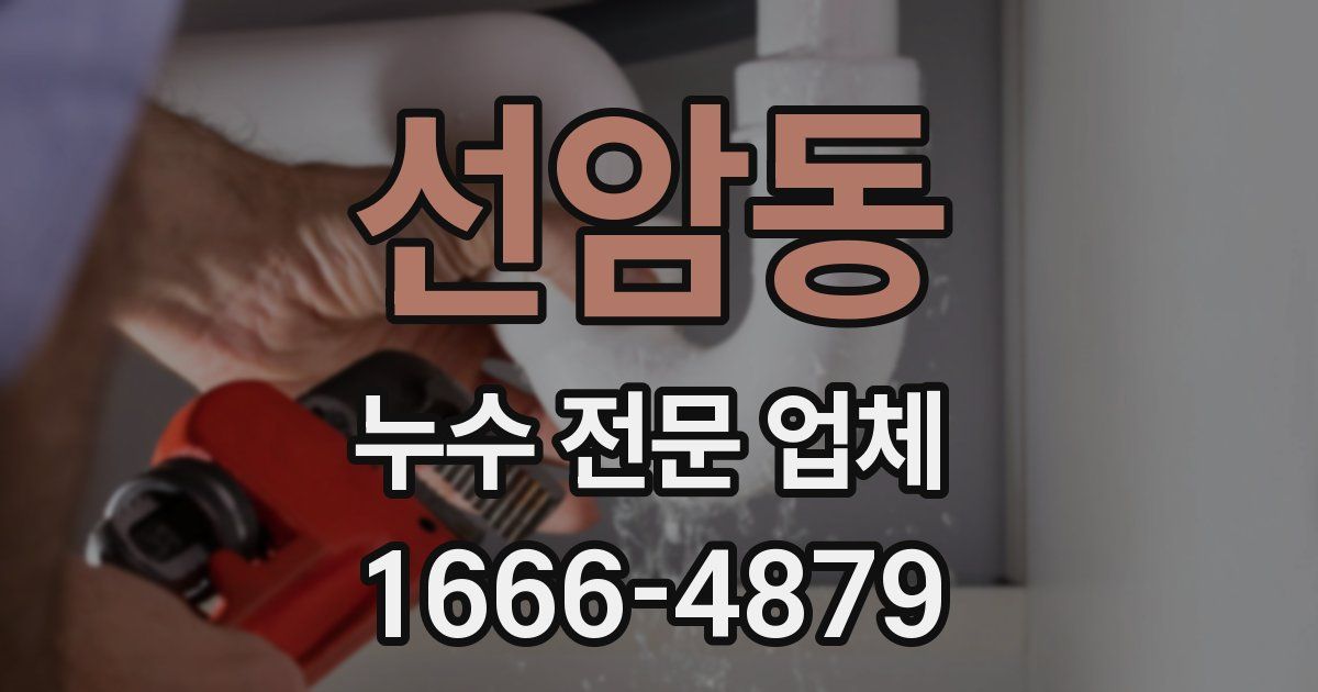 선암동 누수 전문 업체