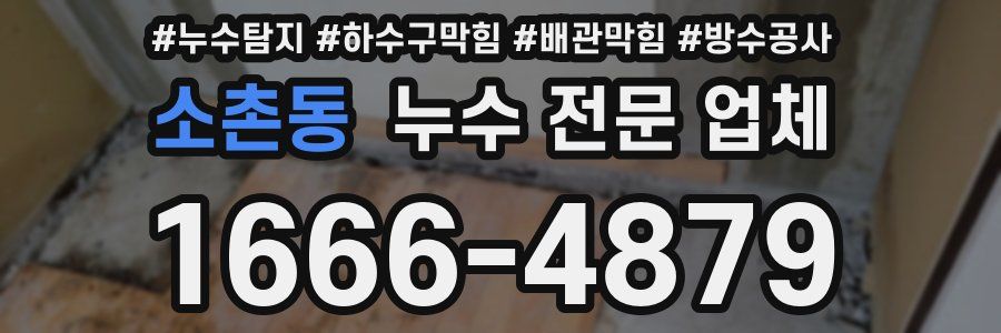 소촌동 누수 전문 업체