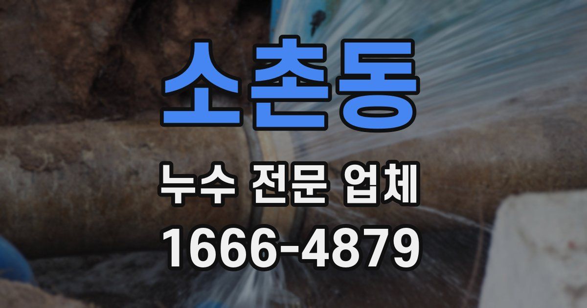 소촌동 누수 전문 업체
