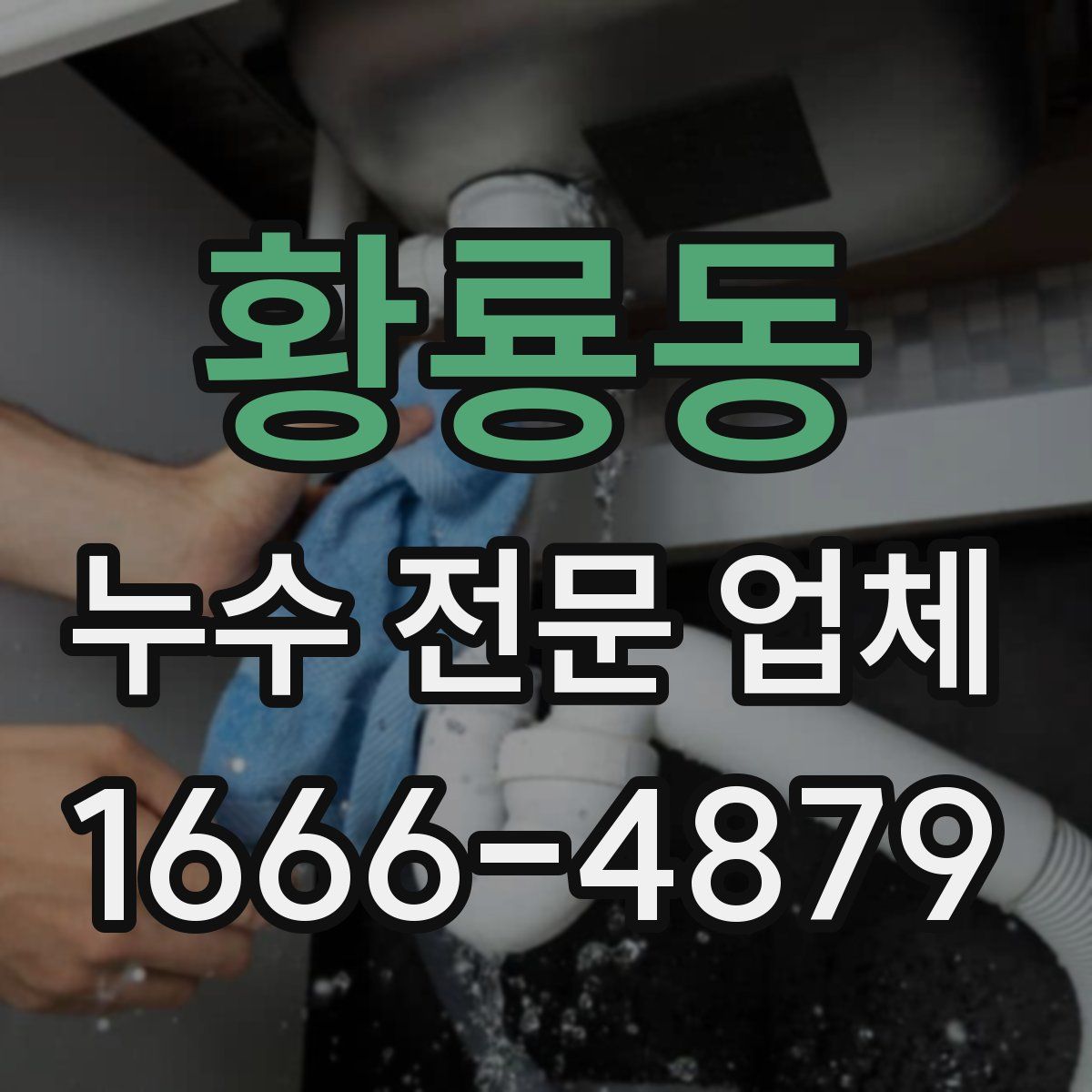 황룡동 누수 전문 업체