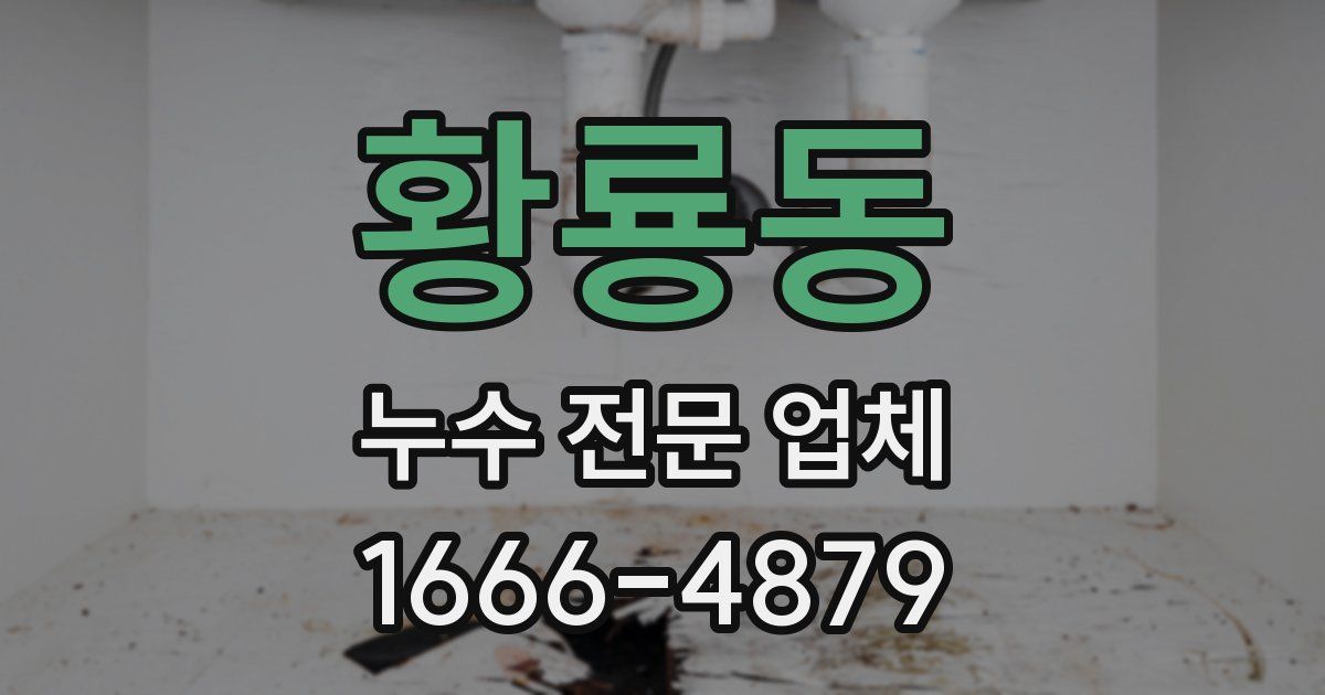 황룡동 누수 전문 업체