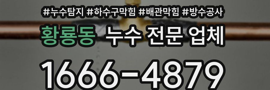 황룡동 누수 전문 업체