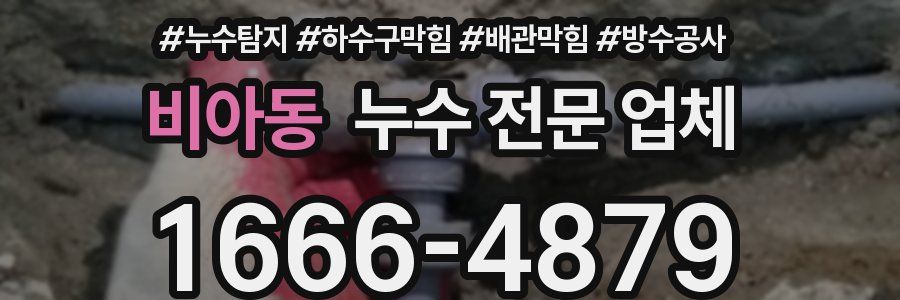 비아동 누수 전문 업체