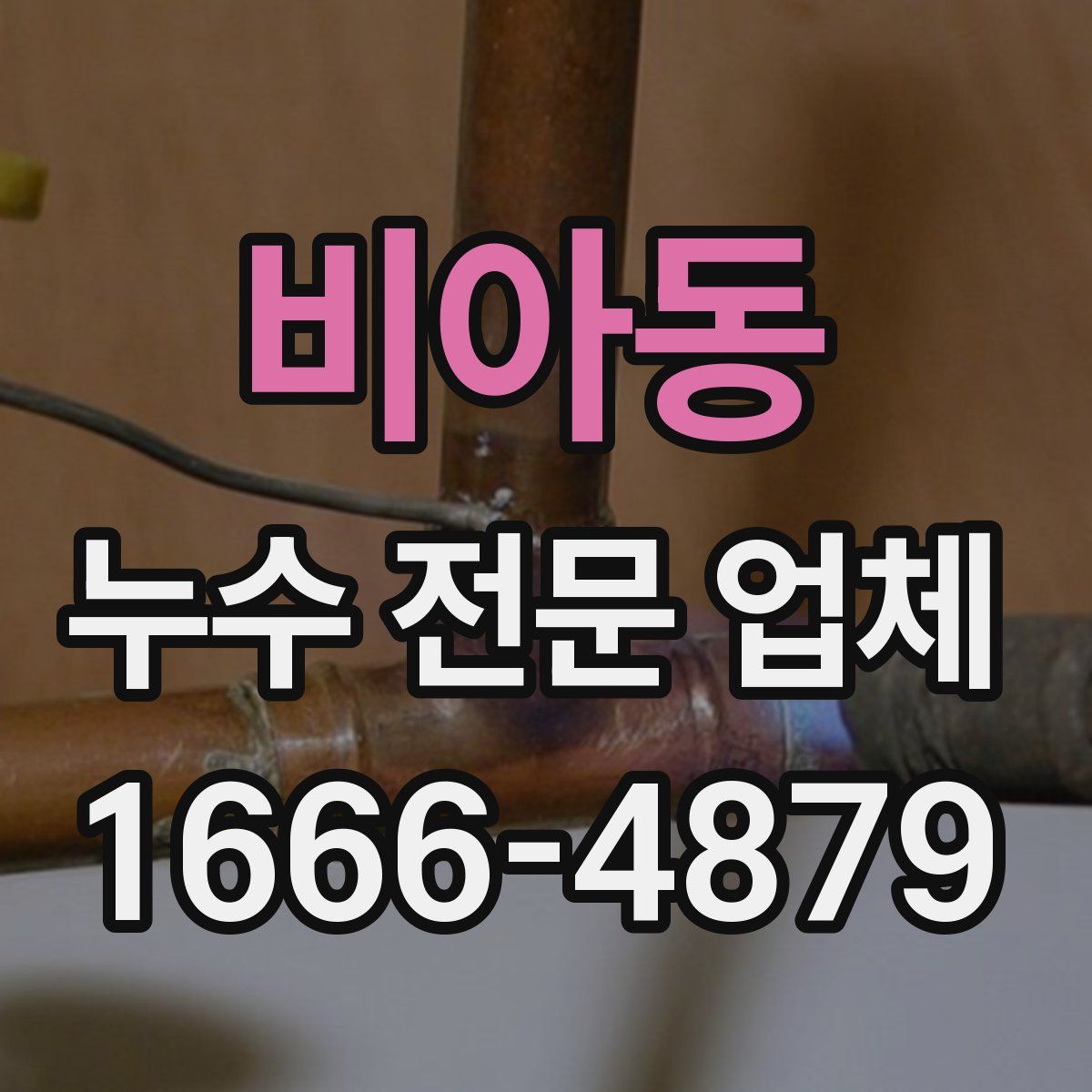 비아동 누수 전문 업체