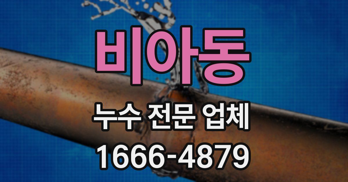 비아동 누수 전문 업체