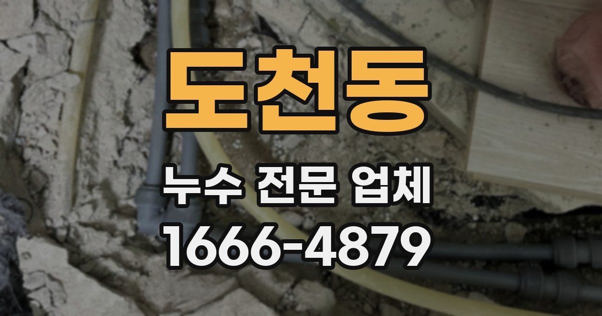 도천동 누수 전문 업체