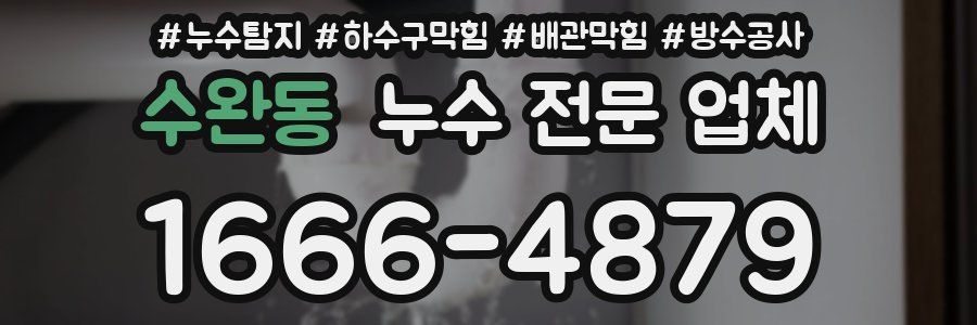 수완동 누수 전문 업체