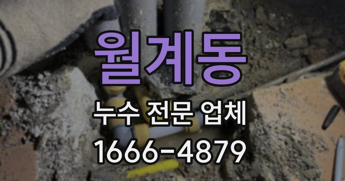 월계동 누수 전문 업체