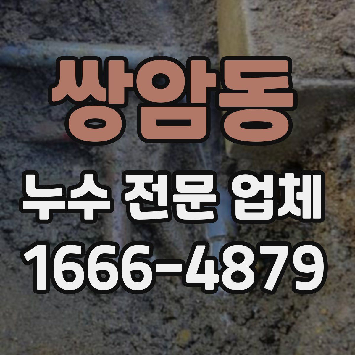 쌍암동 누수 전문 업체