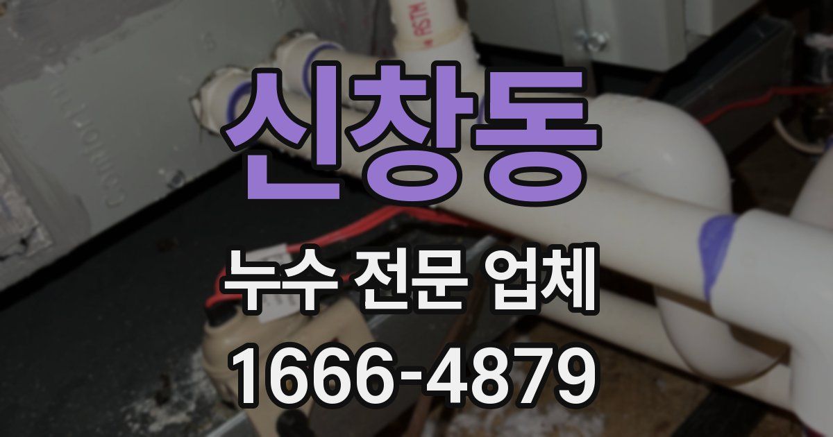 신창동 누수 전문 업체