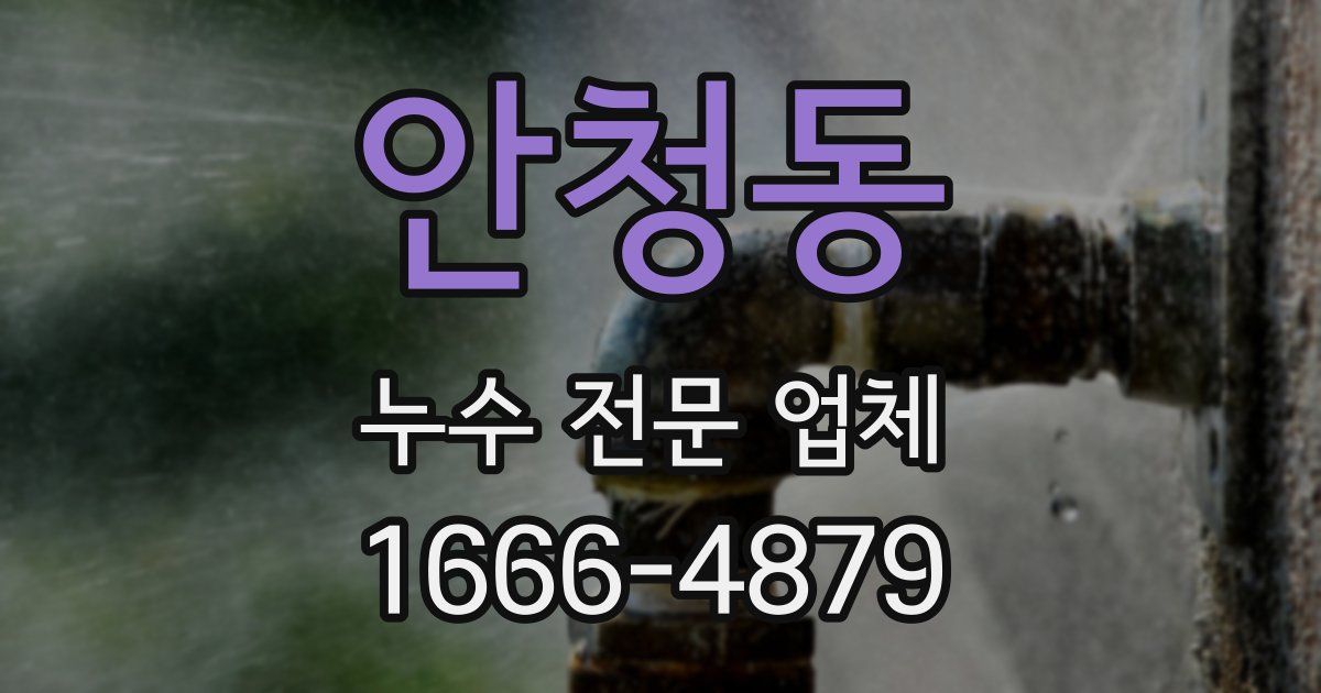 안청동 누수 전문 업체