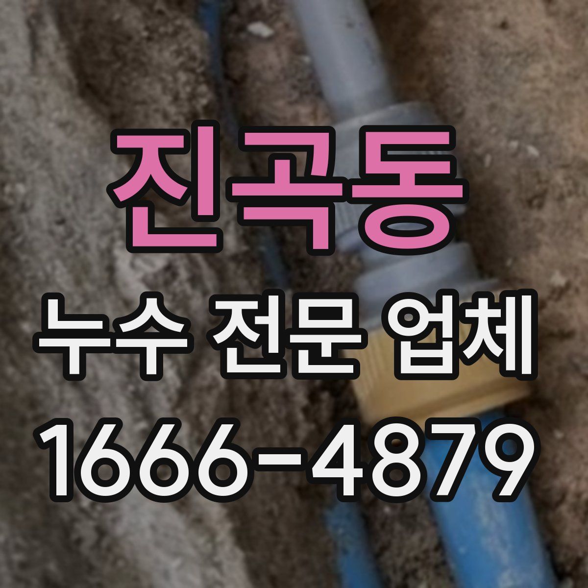진곡동 누수 전문 업체