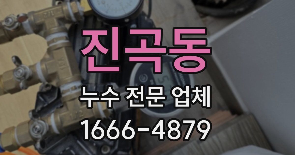 진곡동 누수 전문 업체