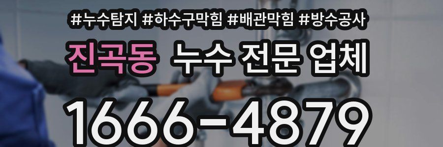 진곡동 누수 전문 업체