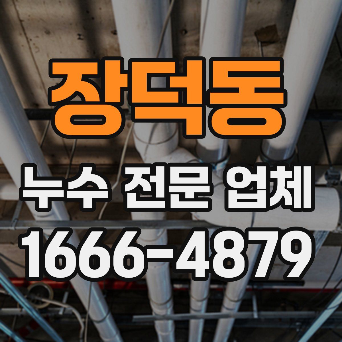 장덕동 누수 전문 업체