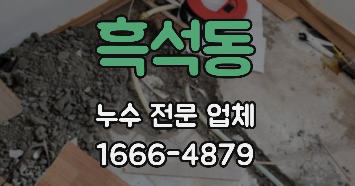 흑석동 누수 전문 업체