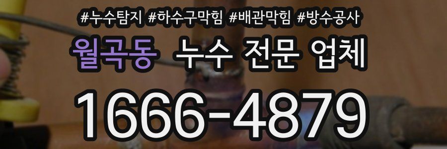 월곡동 누수 전문 업체