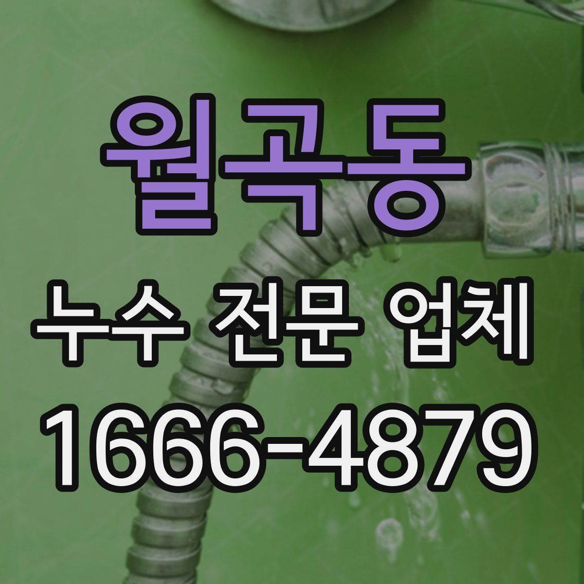 월곡동 누수 전문 업체