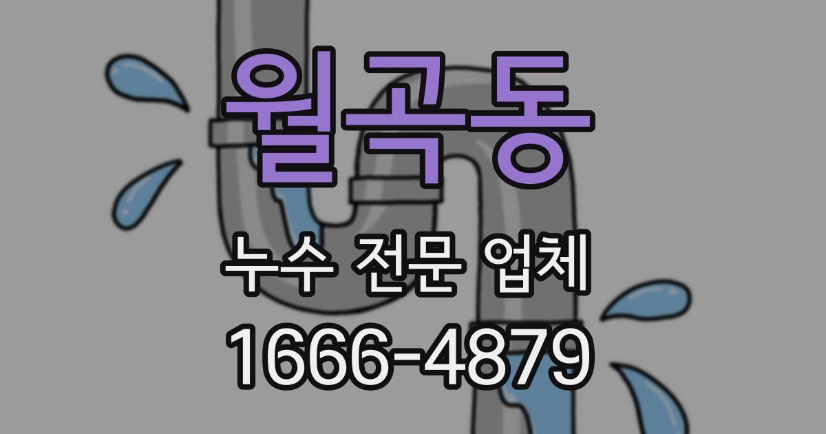 월곡동 누수 전문 업체